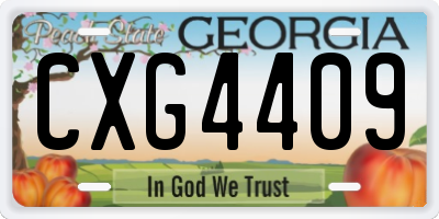 GA license plate CXG4409