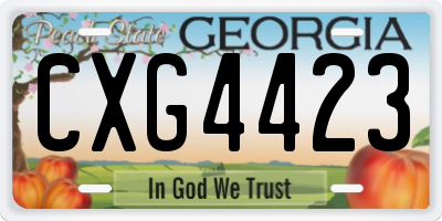GA license plate CXG4423