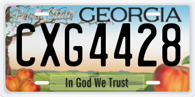 GA license plate CXG4428