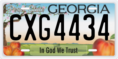 GA license plate CXG4434