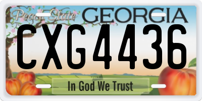 GA license plate CXG4436