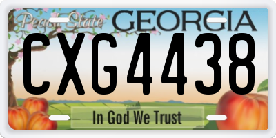 GA license plate CXG4438