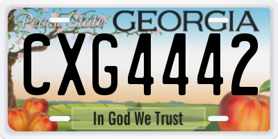 GA license plate CXG4442