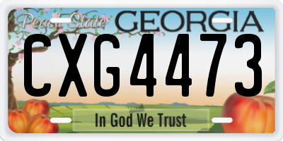GA license plate CXG4473