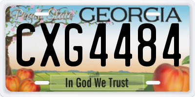 GA license plate CXG4484
