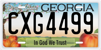 GA license plate CXG4499