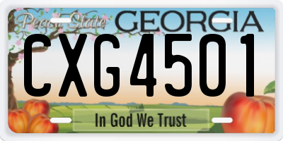 GA license plate CXG4501
