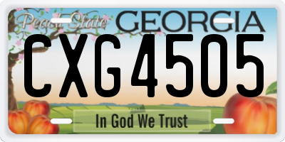 GA license plate CXG4505