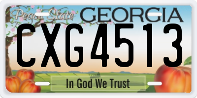 GA license plate CXG4513