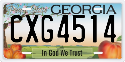 GA license plate CXG4514