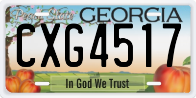 GA license plate CXG4517