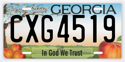 GA license plate CXG4519