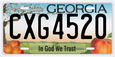 GA license plate CXG4520