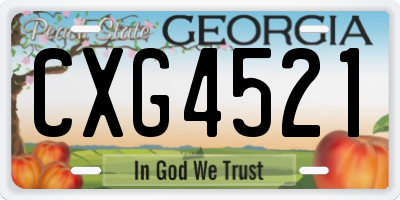 GA license plate CXG4521