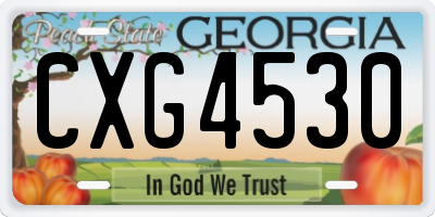 GA license plate CXG4530