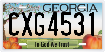 GA license plate CXG4531
