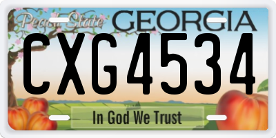 GA license plate CXG4534