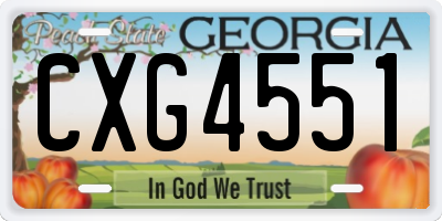 GA license plate CXG4551