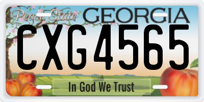GA license plate CXG4565