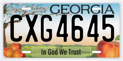 GA license plate CXG4645