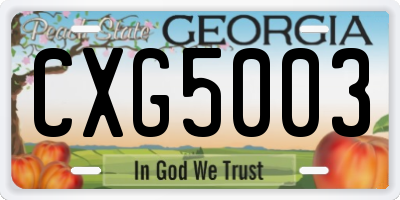 GA license plate CXG5003