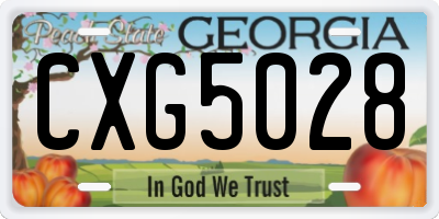 GA license plate CXG5028