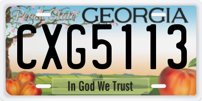 GA license plate CXG5113