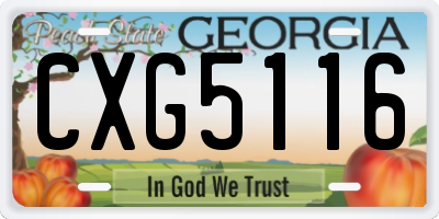 GA license plate CXG5116