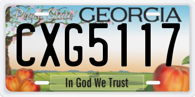 GA license plate CXG5117