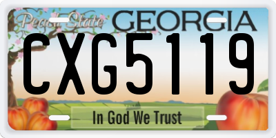 GA license plate CXG5119