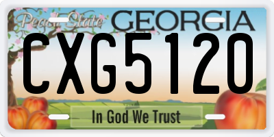 GA license plate CXG5120