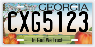 GA license plate CXG5123