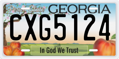 GA license plate CXG5124