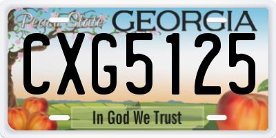 GA license plate CXG5125