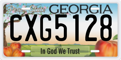 GA license plate CXG5128