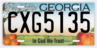 GA license plate CXG5135