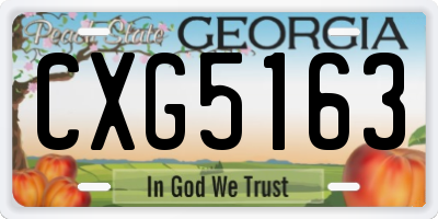 GA license plate CXG5163