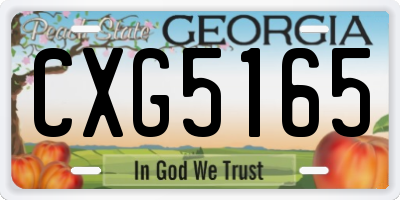 GA license plate CXG5165