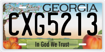 GA license plate CXG5213
