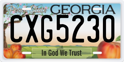 GA license plate CXG5230