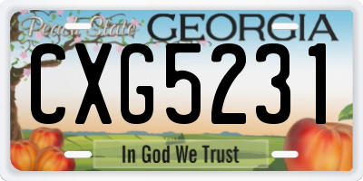 GA license plate CXG5231