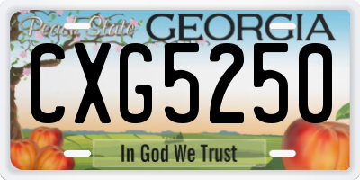 GA license plate CXG5250