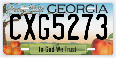 GA license plate CXG5273