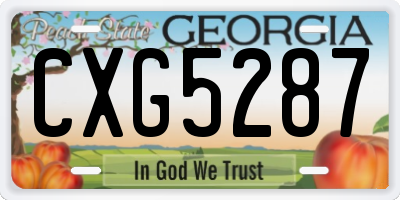 GA license plate CXG5287