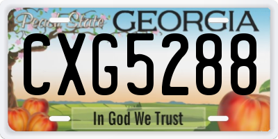 GA license plate CXG5288