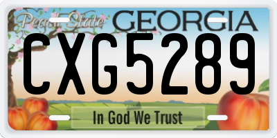 GA license plate CXG5289