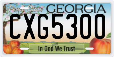 GA license plate CXG5300