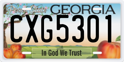 GA license plate CXG5301