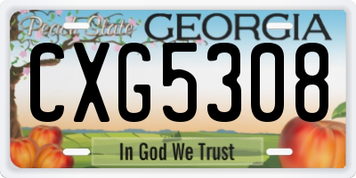 GA license plate CXG5308