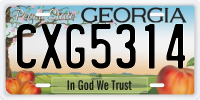GA license plate CXG5314
